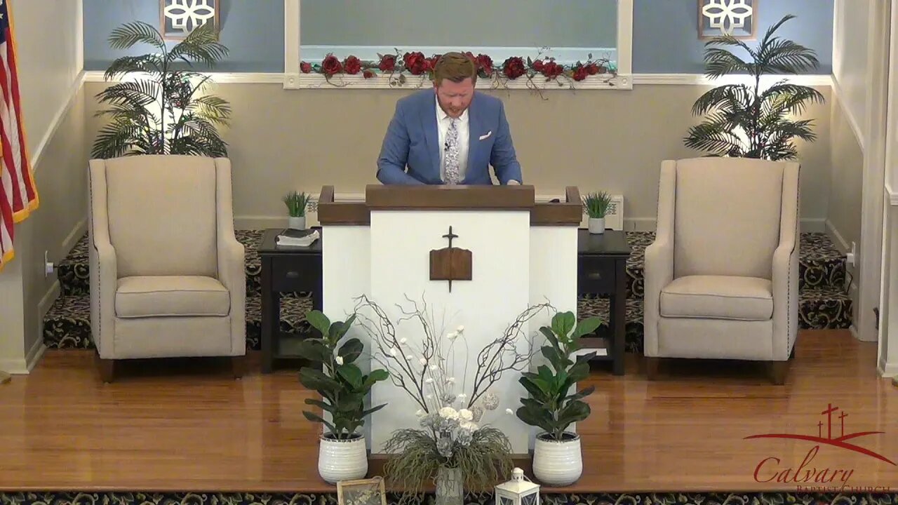 Sunday Evening, May 8 - The Tree Brought