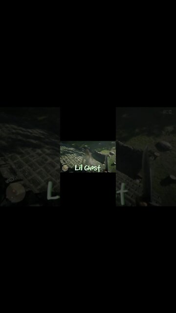 Roasting Avex For Being Poor! Red Dead Redemption 2 Online Highlights #shorts #rdr2online #roasting