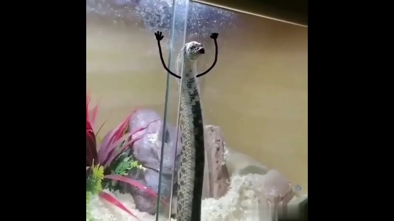 someone so creative!