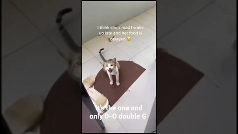 MEME is the one and only D-O double G #shorts