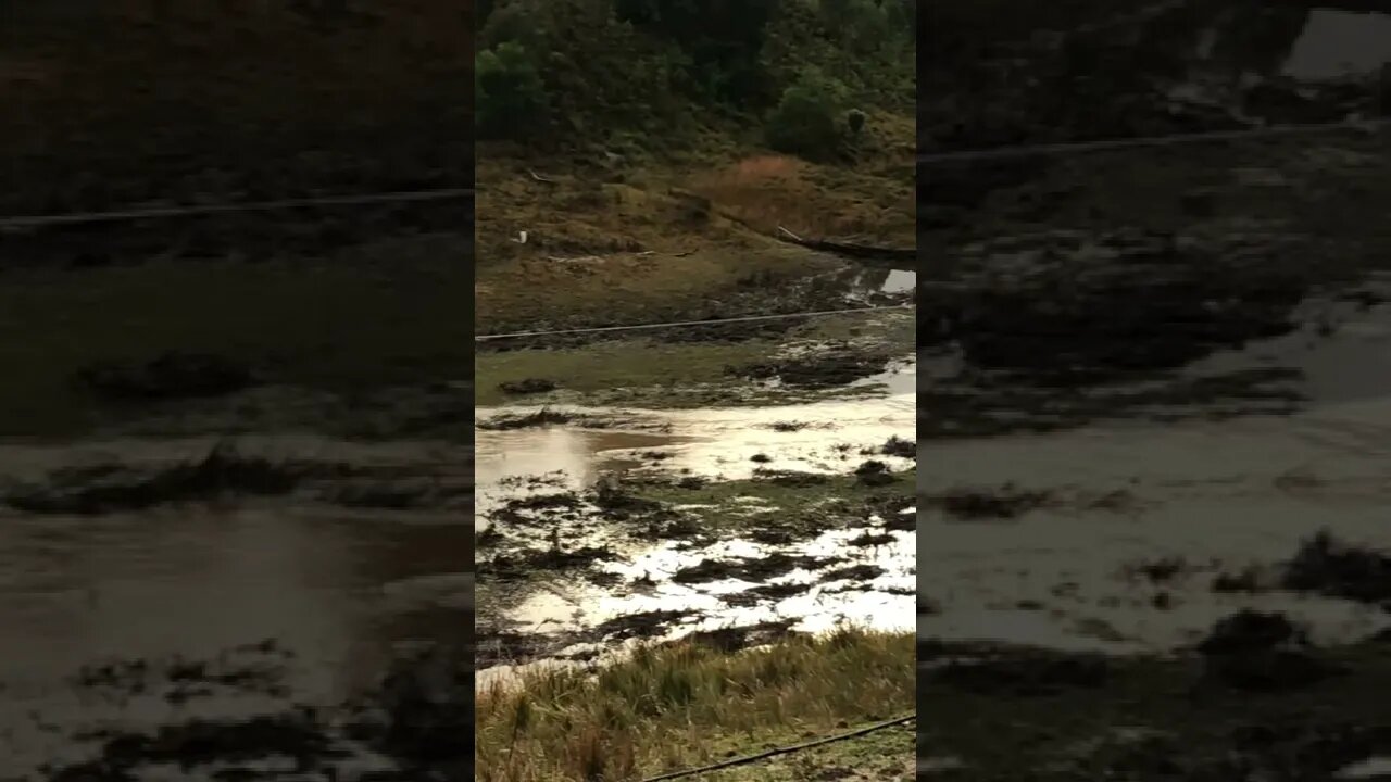 Flood almost over. Roads are still blocked. NSW Australia