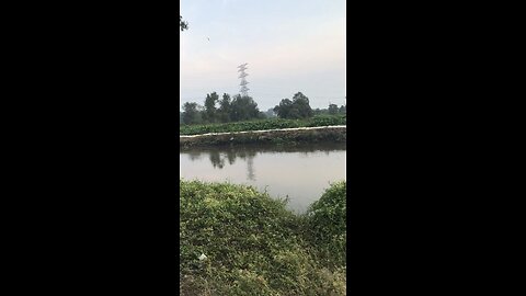 Xe nhà binh trở nên hoang phế #canhdepmiennam #saigon #xe #xequansu
