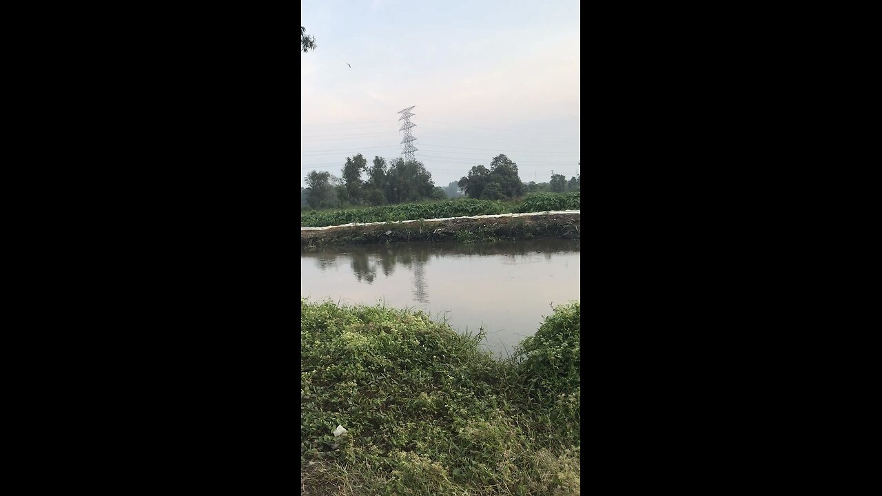 Xe nhà binh trở nên hoang phế #canhdepmiennam #saigon #xe #xequansu