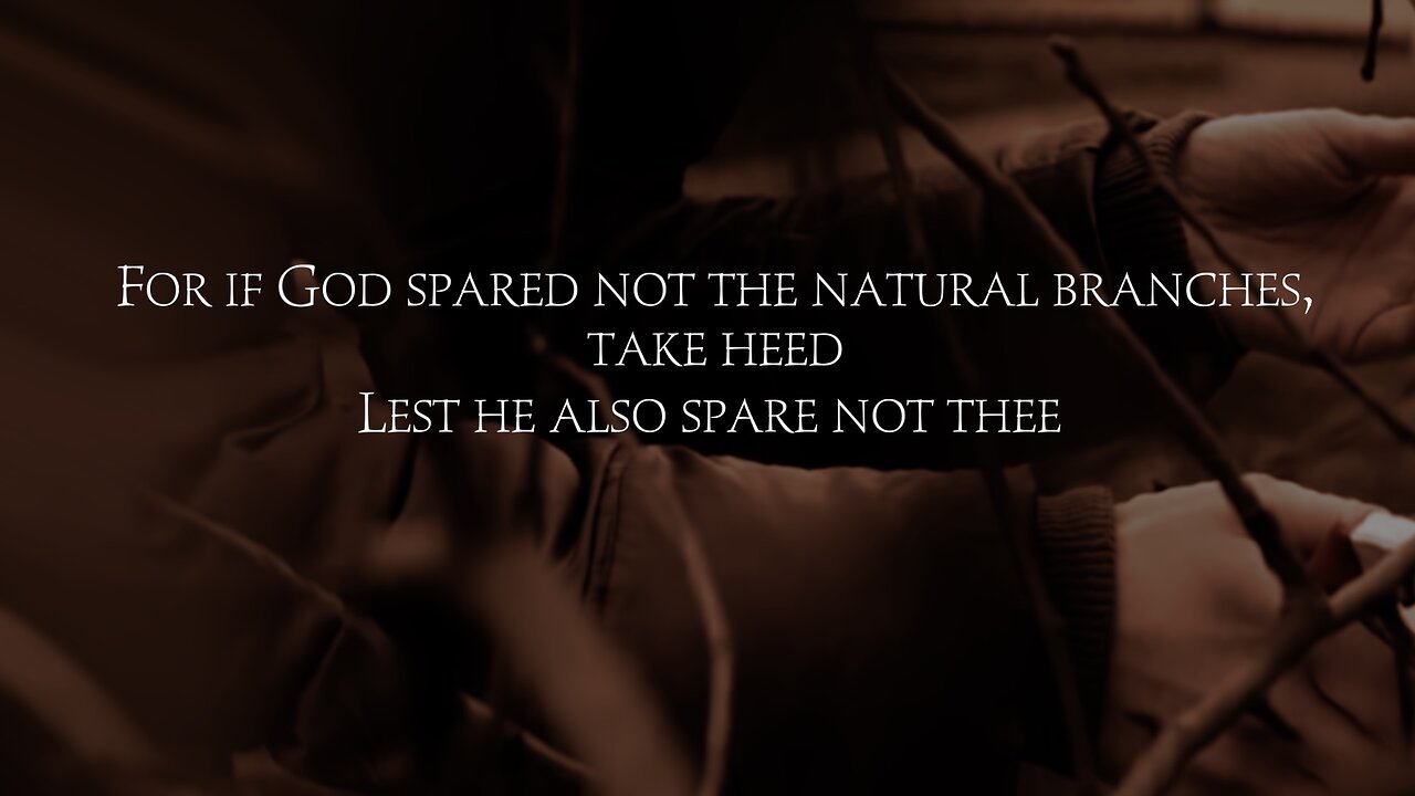 A STERN WARNING FROM PAUL TO THE BELIEVERS IN ROME.