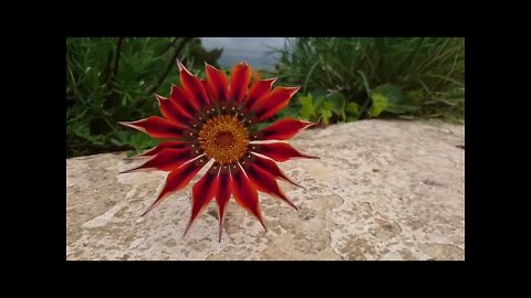 best time to chill with family lovingly music enjoy