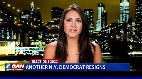 Another N.Y. Democrat Resigns
