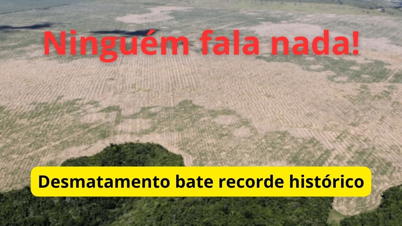 Desmatamento bate recorde histórico, Marina emudece e velha mídia se finge de morta