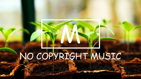 Dizaro - Believer（Mm No Copyright Music）