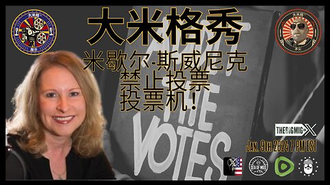 米歇尔·斯威尼克（Michele Swinick），立即禁止投票机！ |EP197