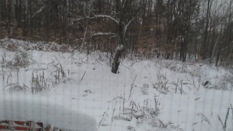 Day two of the Ezekiel Snow Storm