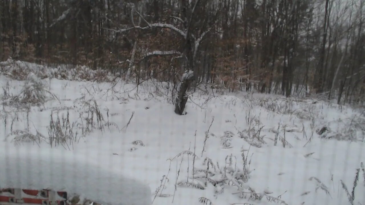 Day two of the Ezekiel Snow Storm