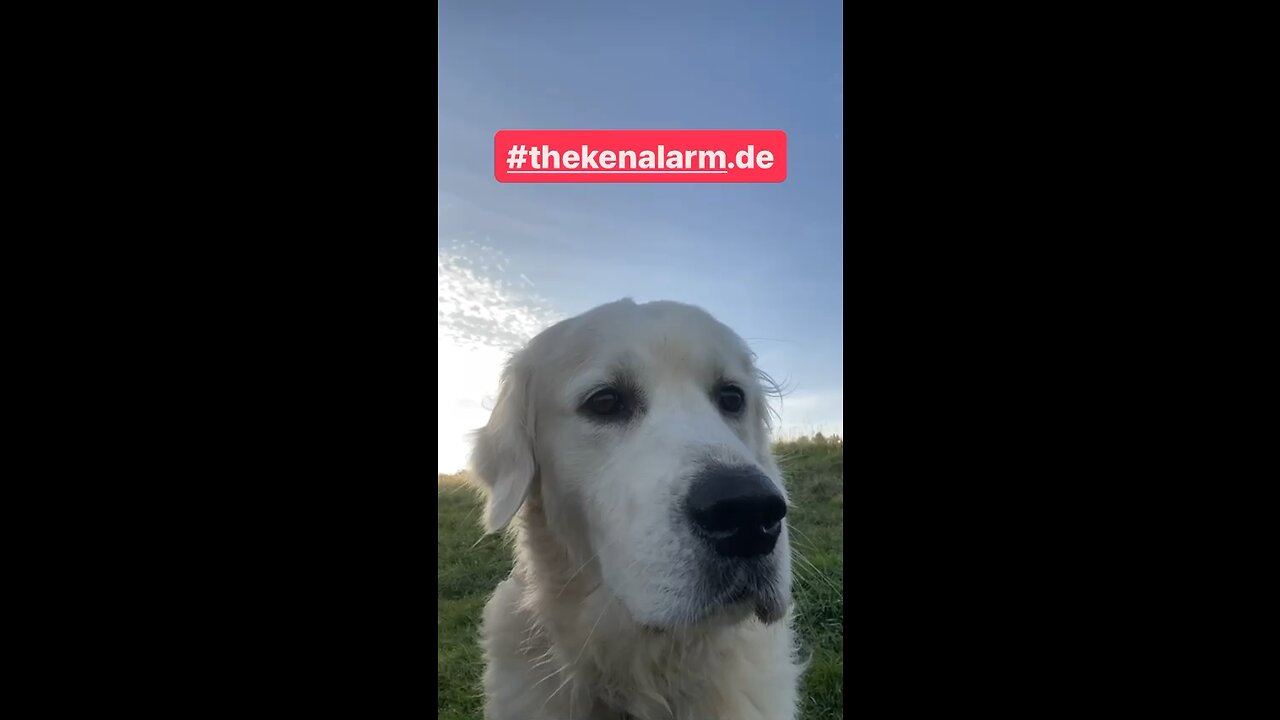 UNENTBEHRLICH