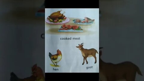 Class I Social Studies Unit 2 Food