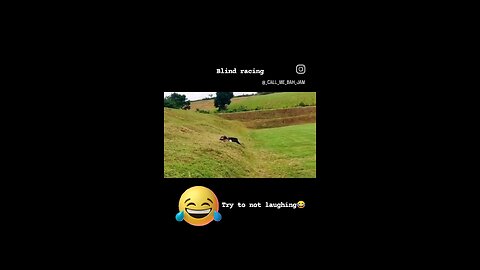 #very funny videos