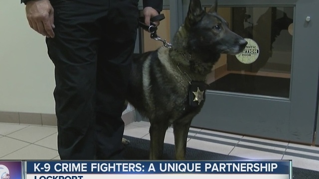 K-9 Crime Fighters: A unique partnership