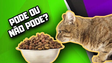 Cachorro pode comer ração de Gato? | Dr. Edgard Gomes | Alimentação natural para Cães