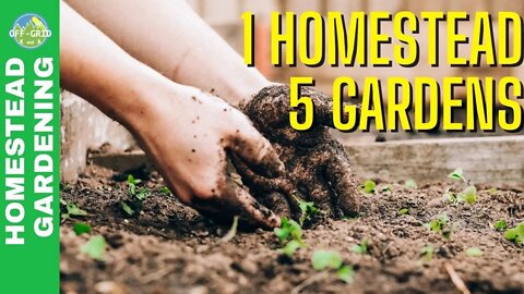 Modern Victory Garden Tour - Garden Update 2022 - Homesteading Vlog