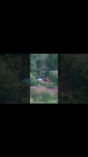 NOW: Skeletal Remains Found in Pasco County FL #shorts #hudsonfl #florida