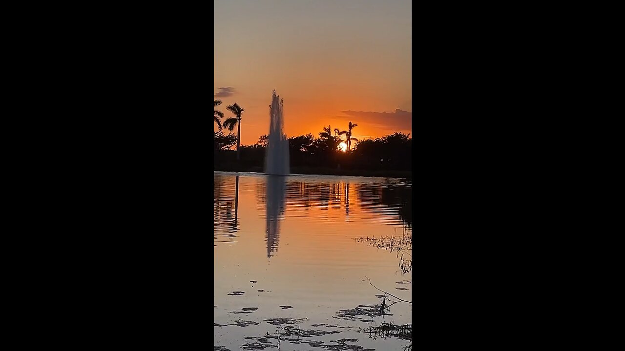 Live Sunrise 10/6/2022 #Sunrise #LiveStream #Estero #FYP #mywalksinparadise #TikTokLive #TikTok