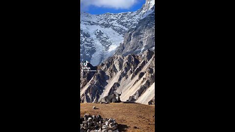 Himalaya from nepal beuty of nepal