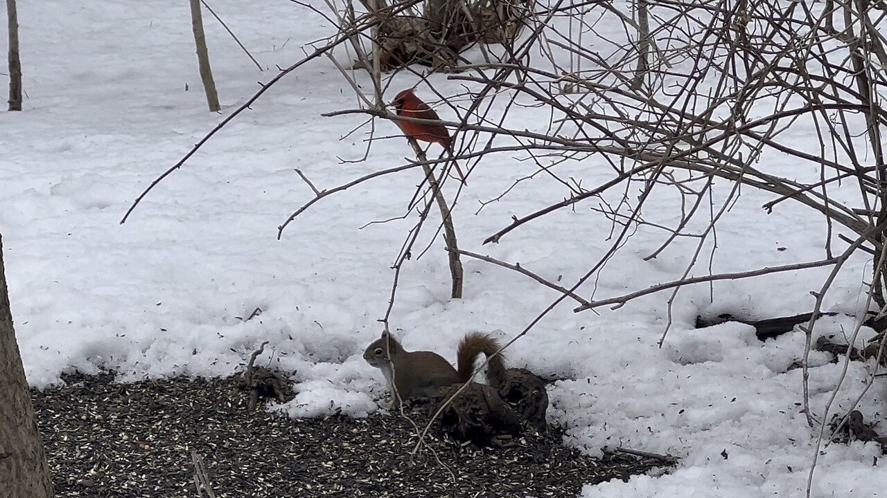 Lots of color red today