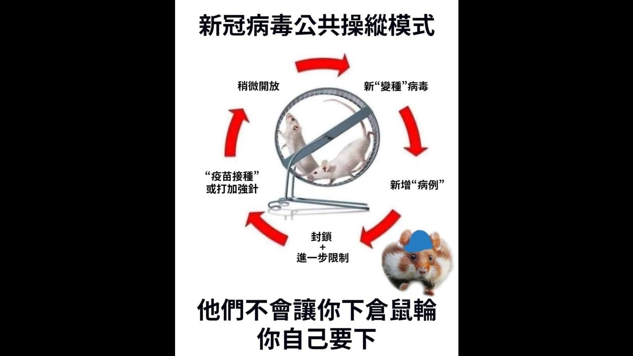 強尼大哥聊天室（7）訪問實驗針的受害者Zach和他的太太涂透實