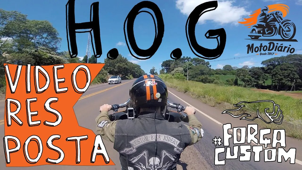 H.O.G - Vídeo Resposta