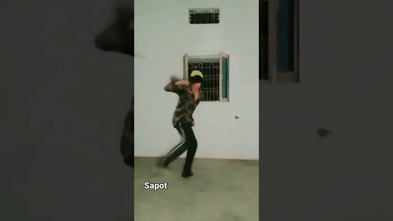 me tera majnu bann meri lela rajababu dance