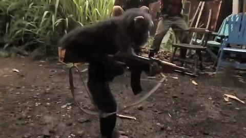 Planet of the Apes... FOR REAL!