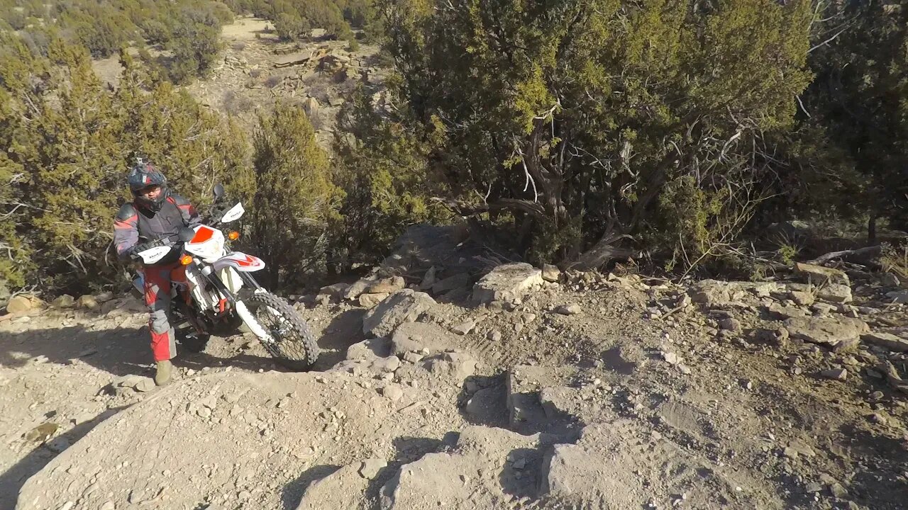 2019 Beta 500 RR-S - 🦎 Nothing like a Flat Tire 🦎