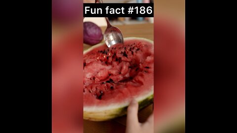 Watermelon is what?