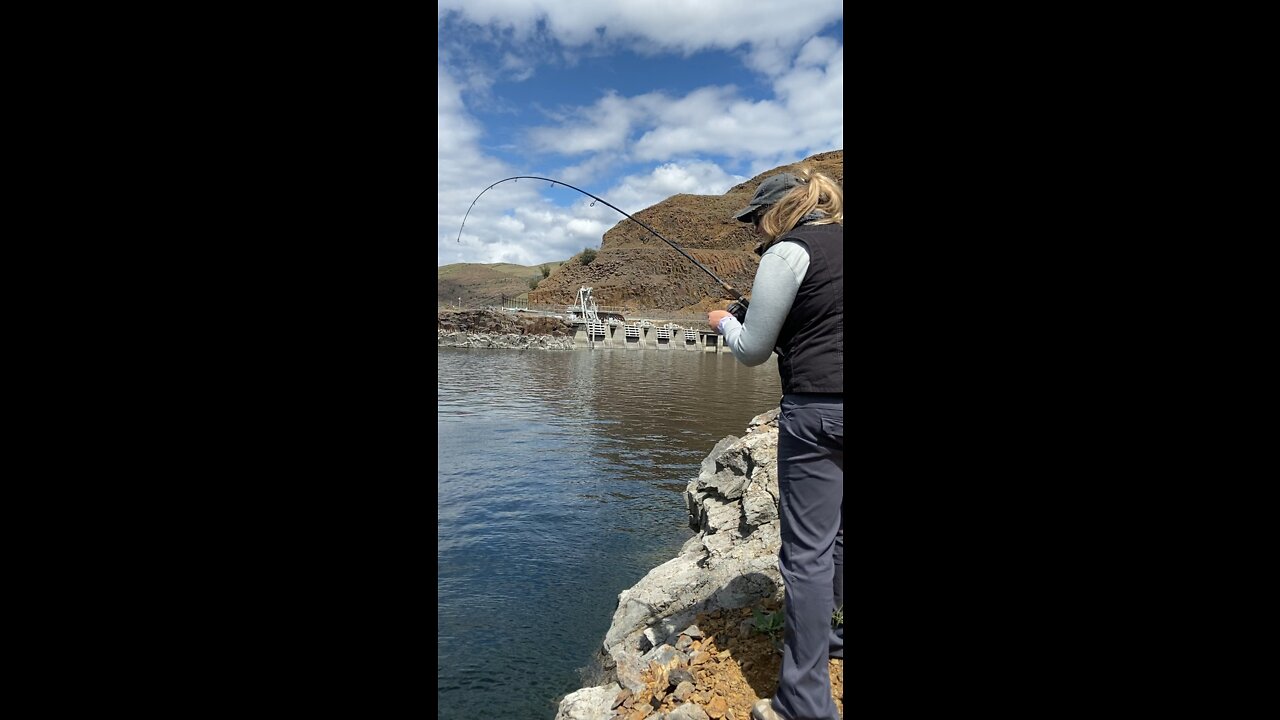 Idaho catfish