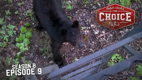 The 3 Amigos Alberta Bear Camp - Part 2 - The Choice (Full Episode) // S8: Episode 9