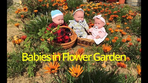 Baby Dolls Enjoying Sunny Day in Garden