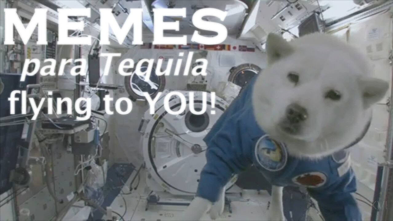 Ukraine, Biden, Dahmer are Memes para Tequila