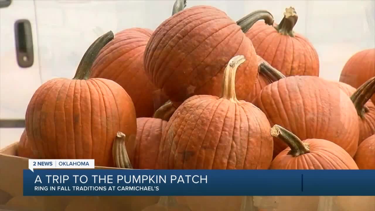 A trip to the pumpkin patch: Carmichael's