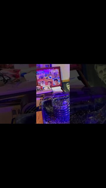 Basement Garden #bubba #gardeningtips #repurposing