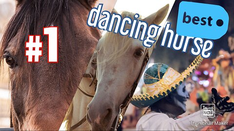 Horse Dance