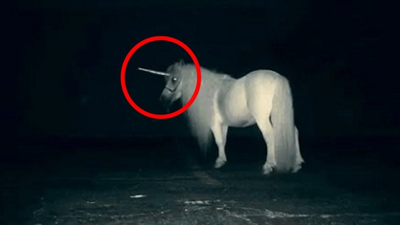 Real footage in the end…..#caughtoncamera #conspiracy #mythicalcreature #unicor