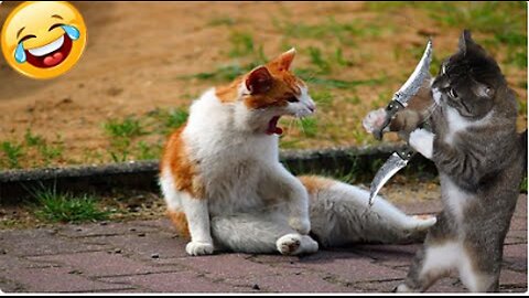 Funniest Animals 2023 😂 | Funniest Cats and Dogs | Part 17