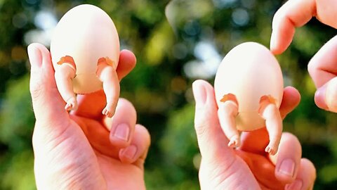 Human babies can hatch from bird eggs