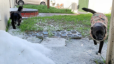 Stock: A Steenberg, Cape Town Family has fun with the hail which fell in July 2023 