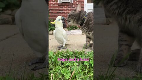 Hops and kisses 😘