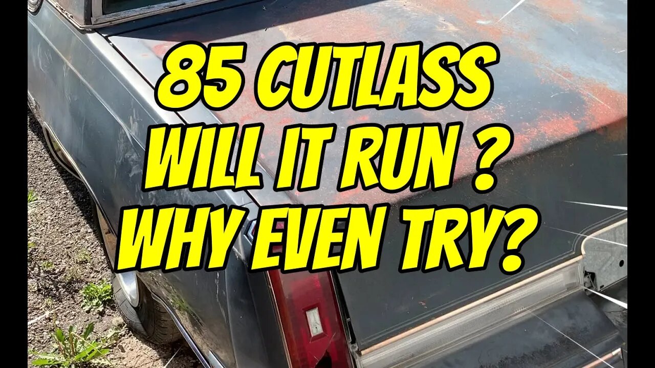 Cutlass or Cut Your Loss?