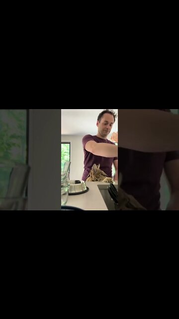 #shorts #2022 funny,prank,funjokes,dad jokes,funny memes,funny video,fun,laughing,funny animal,knock