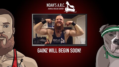 Gym Session w/the Bearded Bros & Hank-a-Tank [Week 13] // Back & Traps // Animal Rescue Stream