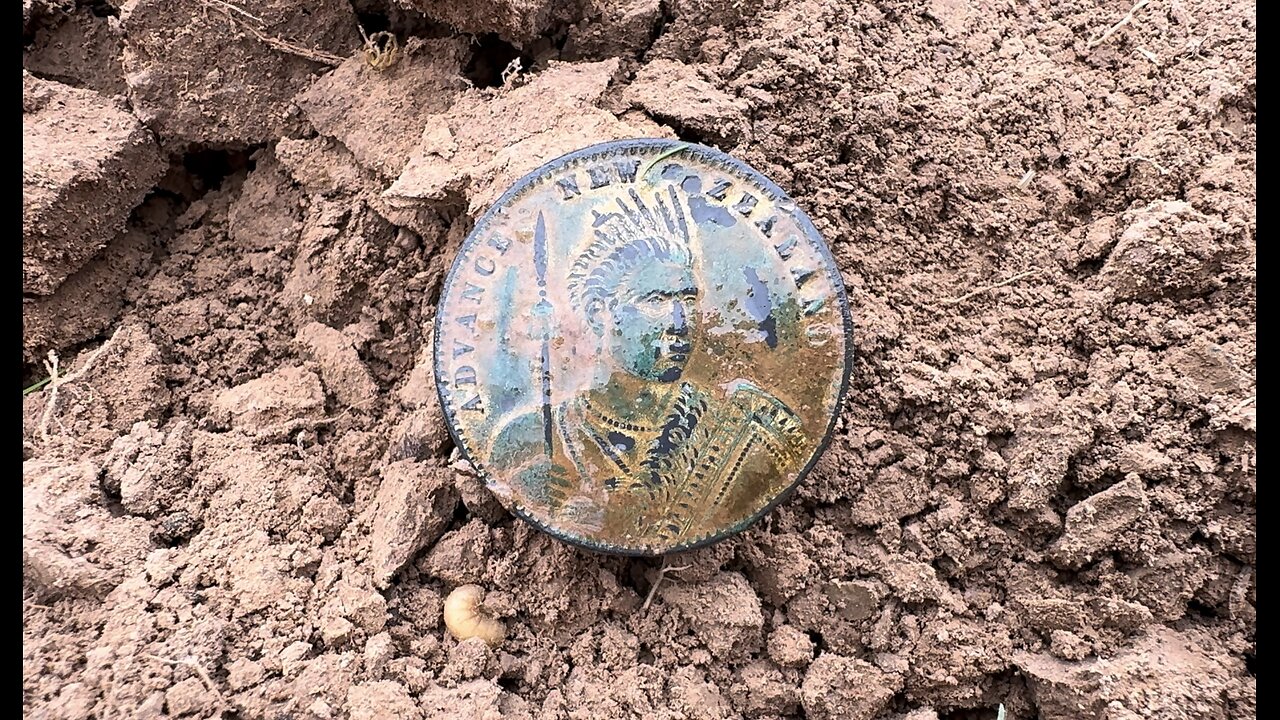 The Golden Warrior Maori Chief Coin