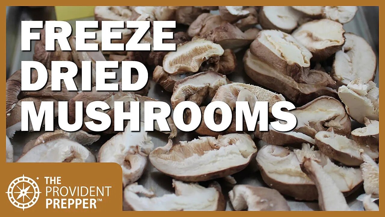 Indoor Garden: Harvesting, Freeze-Drying, and Cooking My Homegrown Mushrooms