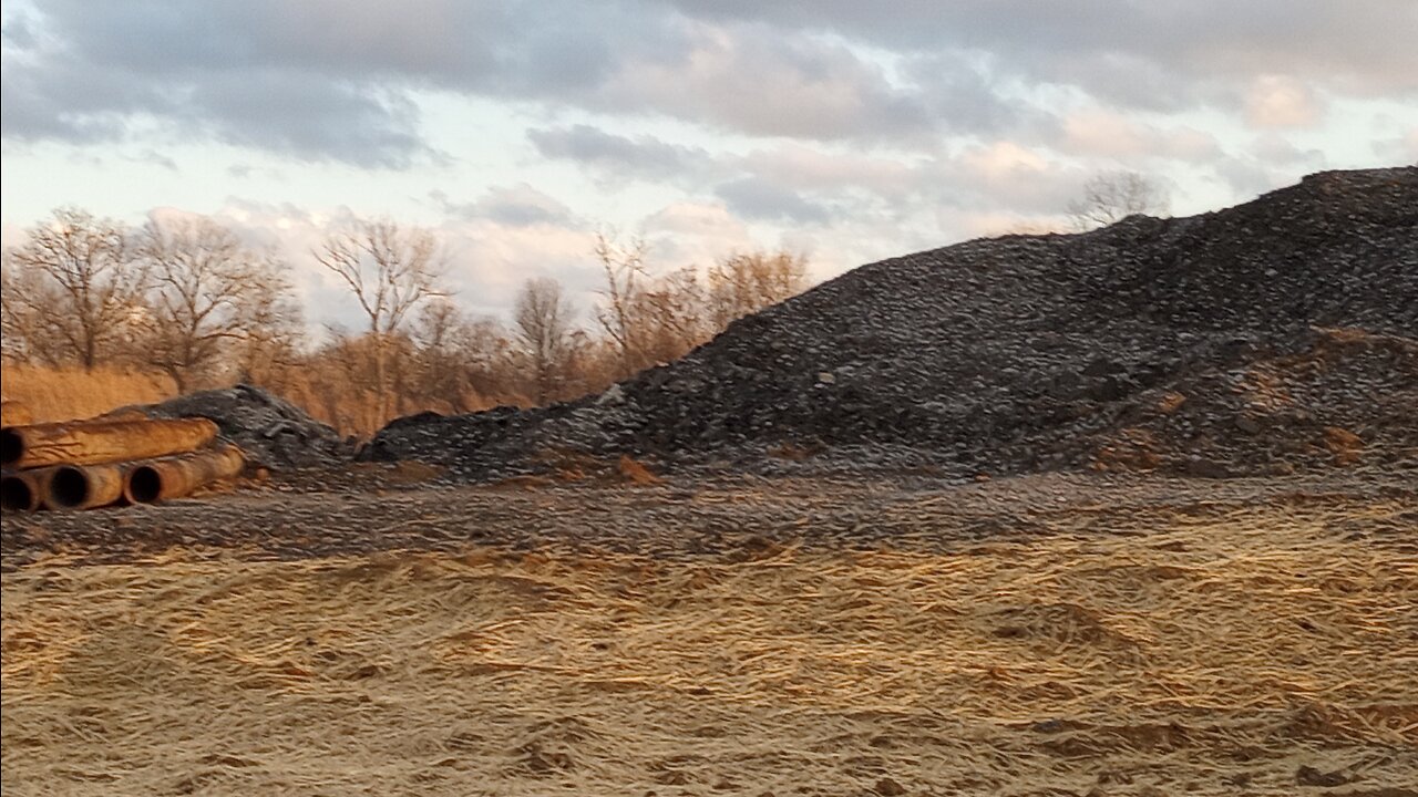 Dikoye Pole - Zhanna Bichevskaya