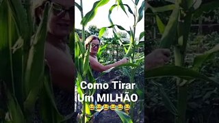 Como Tirar Um MILHÃO #haraseconfinamentoprofeta